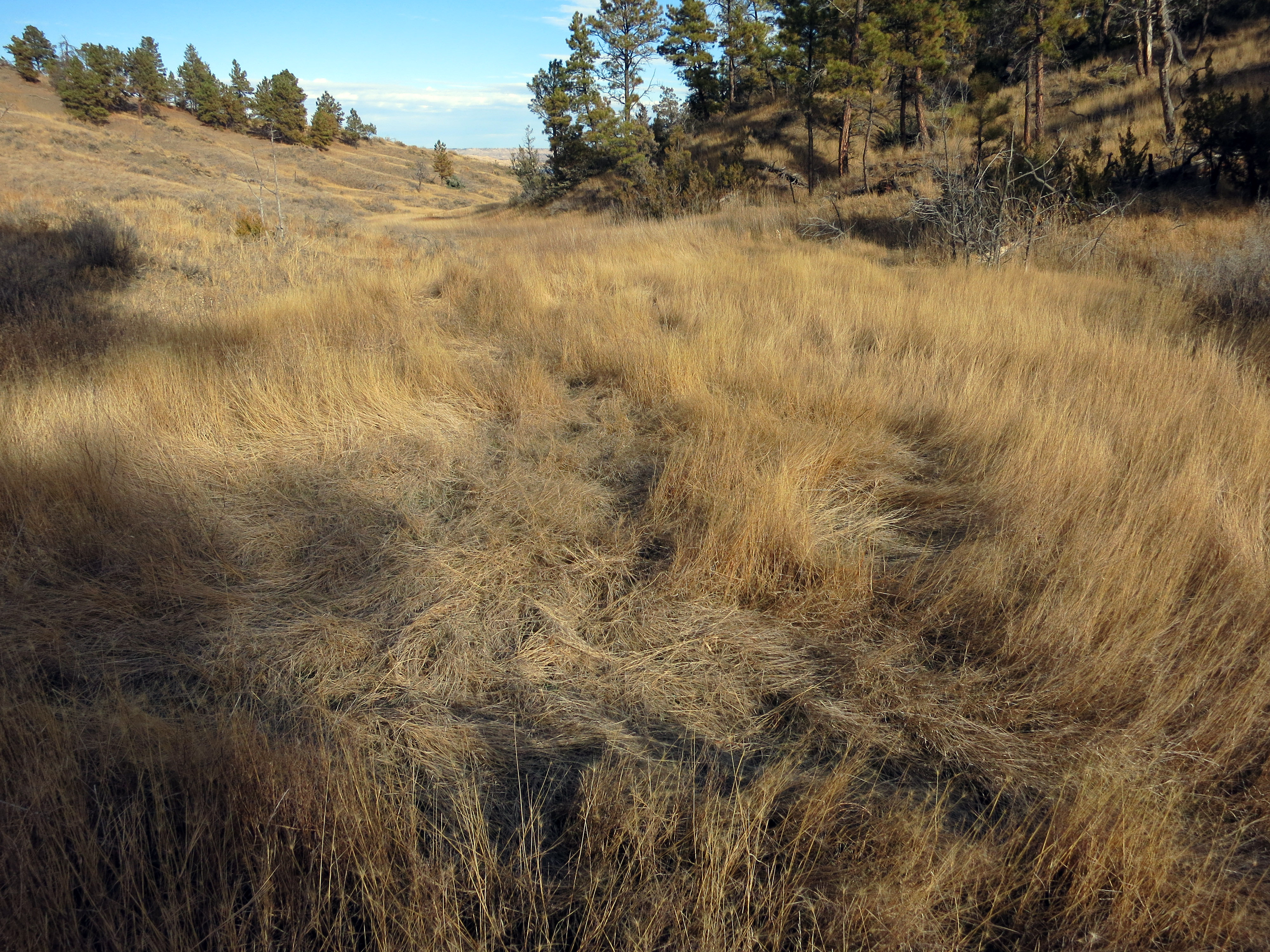 2013 Deer Hunting at Fort Peck, Montana
