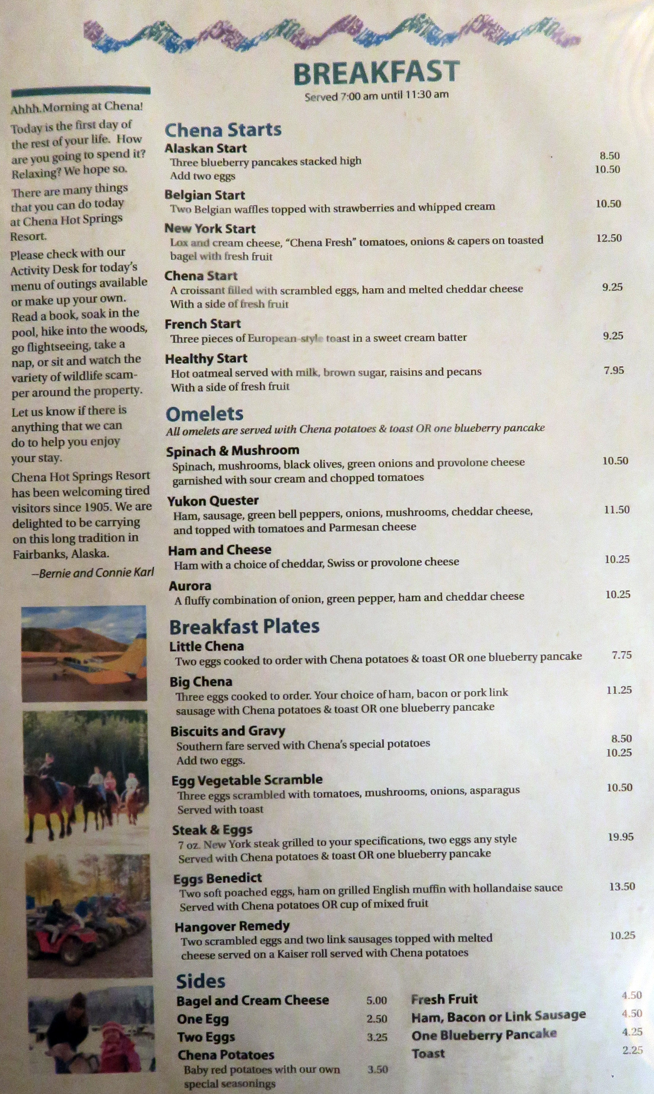 2014 Aurora Borealis at Chena Hot Springs near Fairbanks Alaska