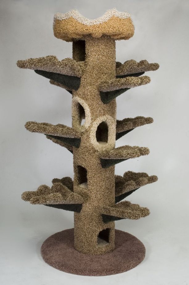 Interesting Cat Trees