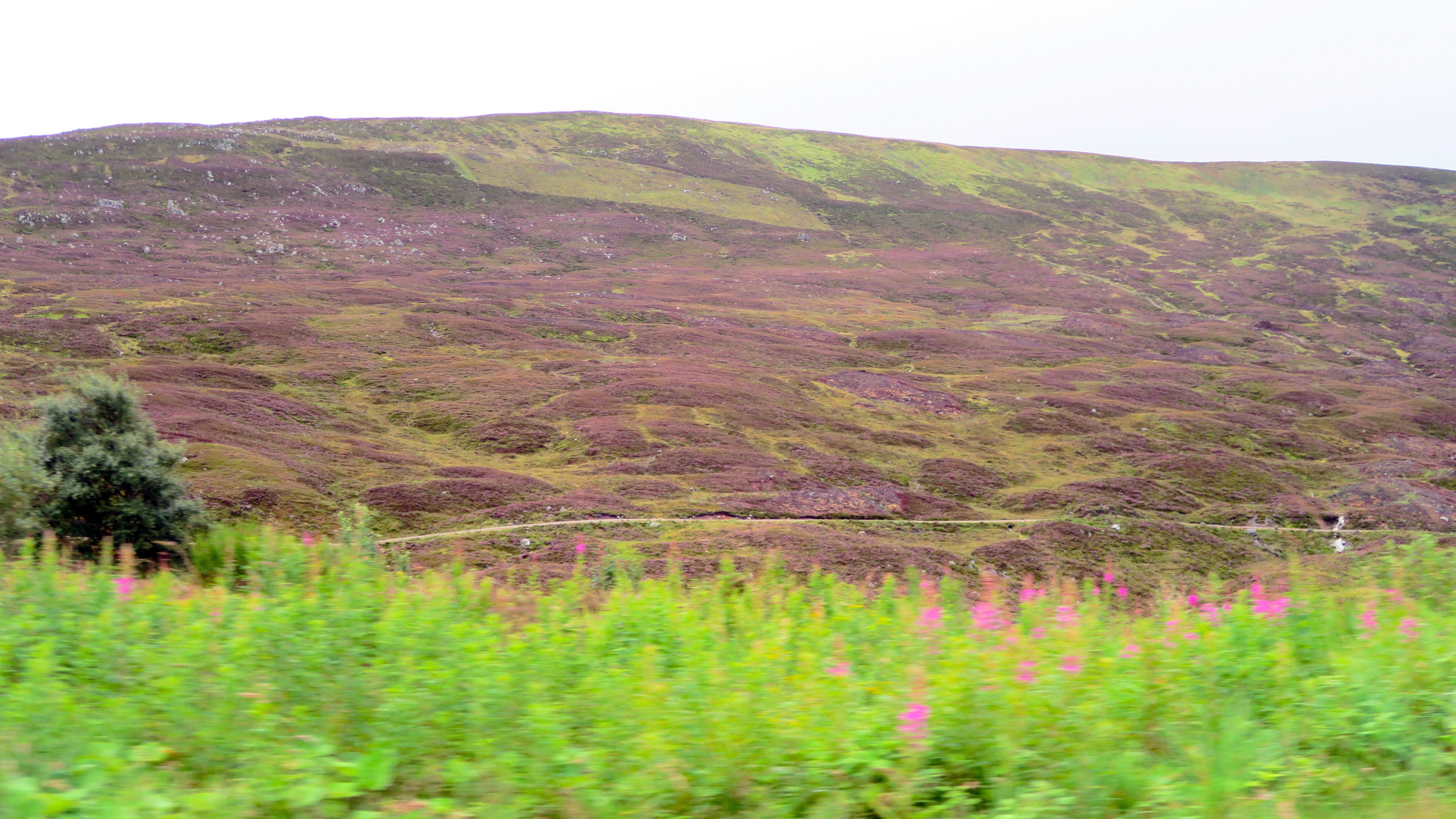 2015 Scotland Edinburgh and Loch Ness and Balvenie Distillery Tour