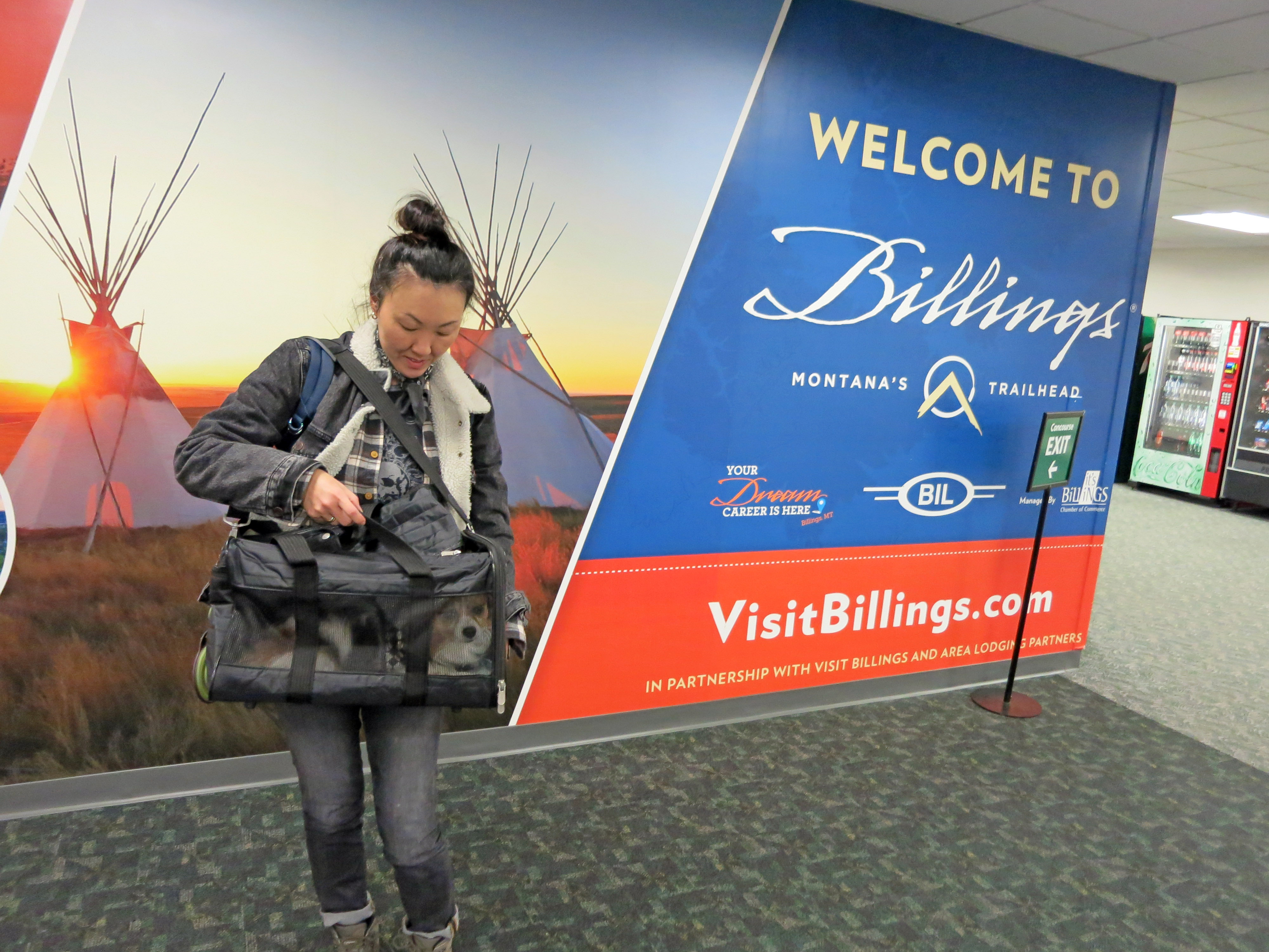 2017 Hunting Deer and Elk at Dry Wolf Creek, Montana