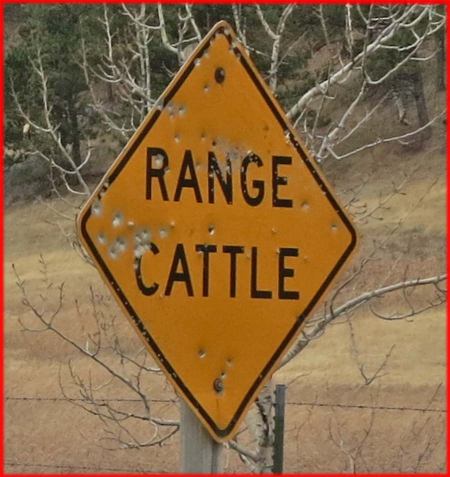 p74s_street_sign_with_bullet_holes_in_montana.jpg