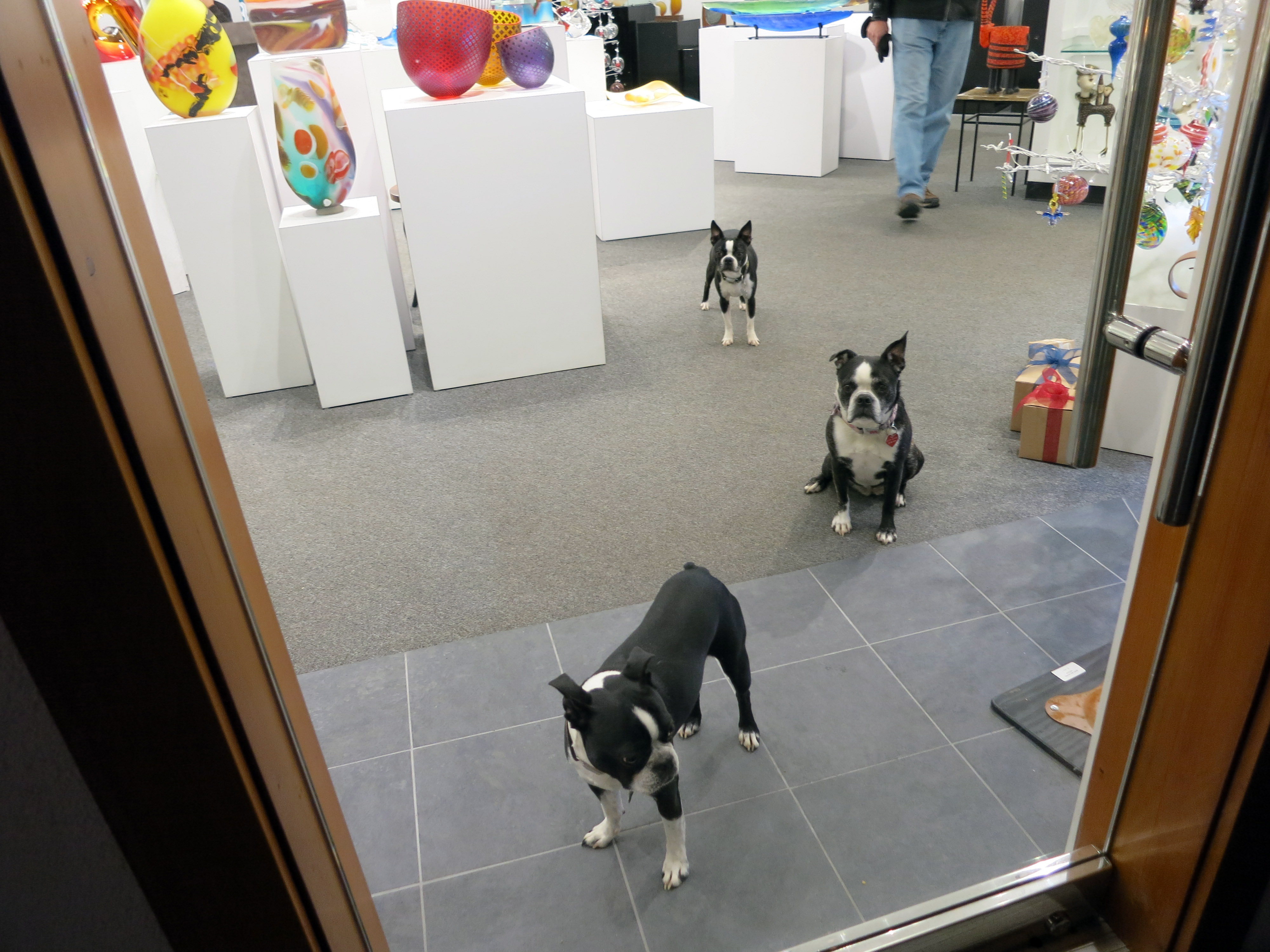 2017 Ski Vail Colorado